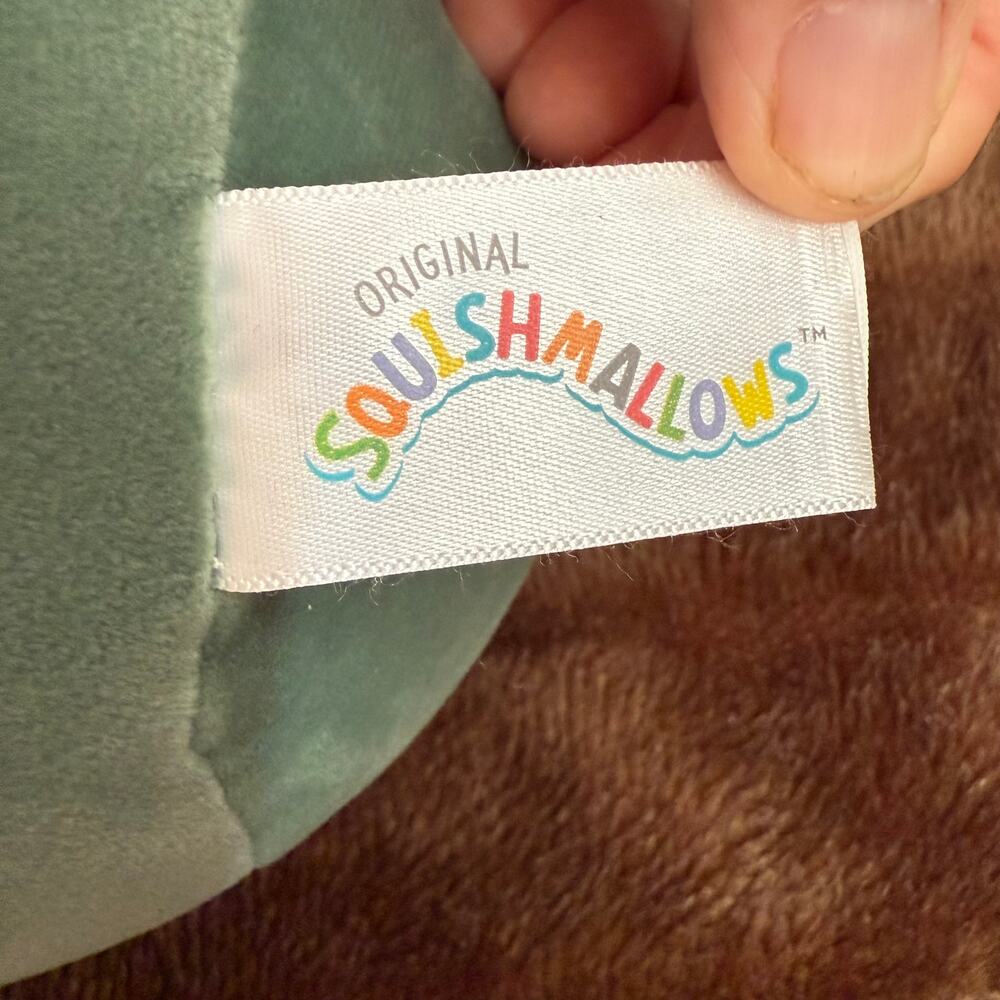 Squishmallows Tonya the Pig, MD Green Stuffed‎ Animal Plush Toy w/ Tag - Picture 3 of 5